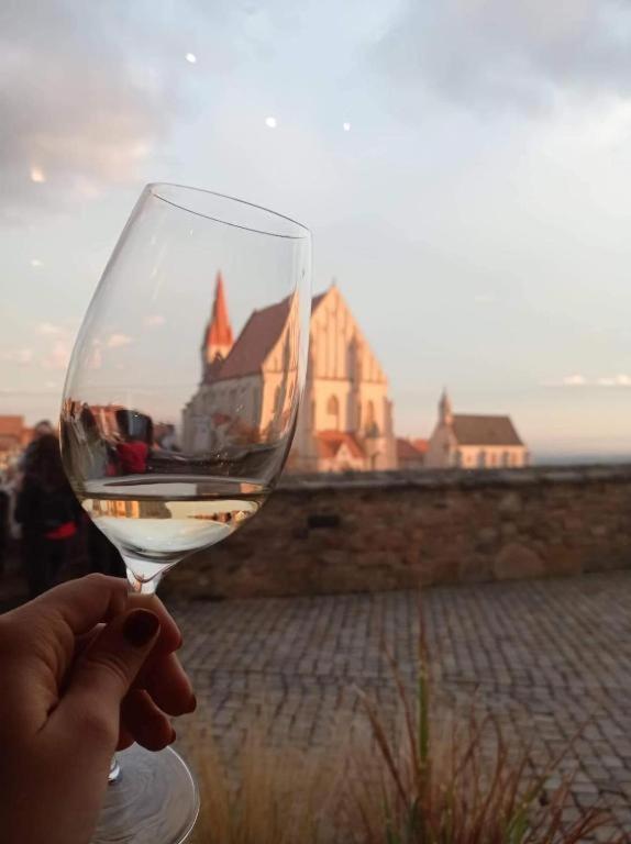 Viva Znojmo