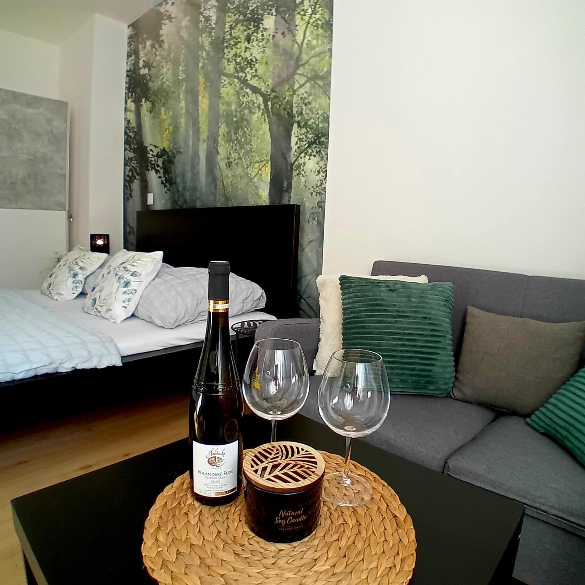 Viva Apartment Znojmo